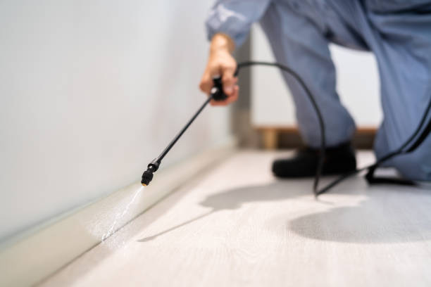 Licensed Pest Control service in Nixon, TX - Show Me Pest Control