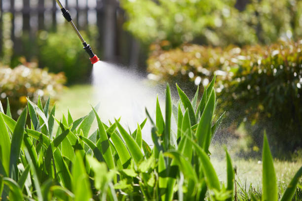 24/7 Emergency Mosquito Control experts in Nixon, TX