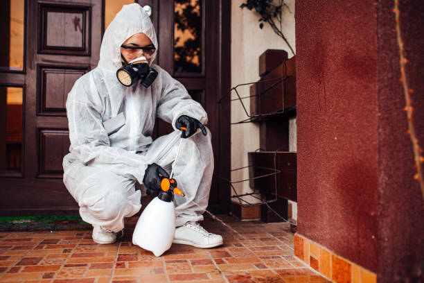 Reliable Mosquito Control contractor in Nixon, TX by Show Me Pest Control